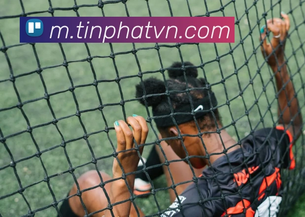 AI Risk Control